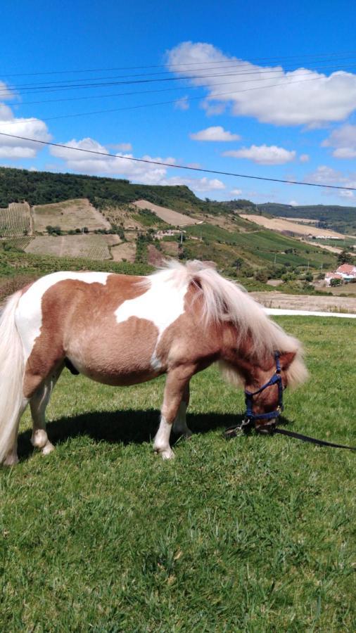 Casinha De Ferias No Campo - Quintinha Dos Cavalos - Arruda Dos Vinhos Sabugos Exterior photo