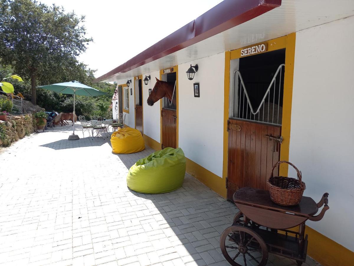 Casinha De Ferias No Campo - Quintinha Dos Cavalos - Arruda Dos Vinhos Sabugos Exterior photo