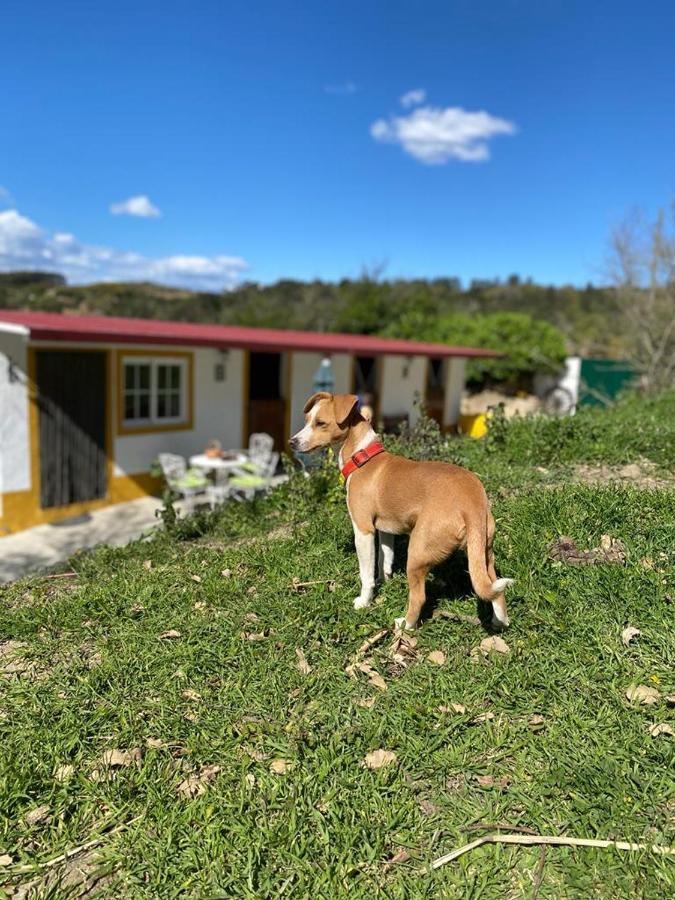 Casinha De Ferias No Campo - Quintinha Dos Cavalos - Arruda Dos Vinhos Sabugos Exterior photo