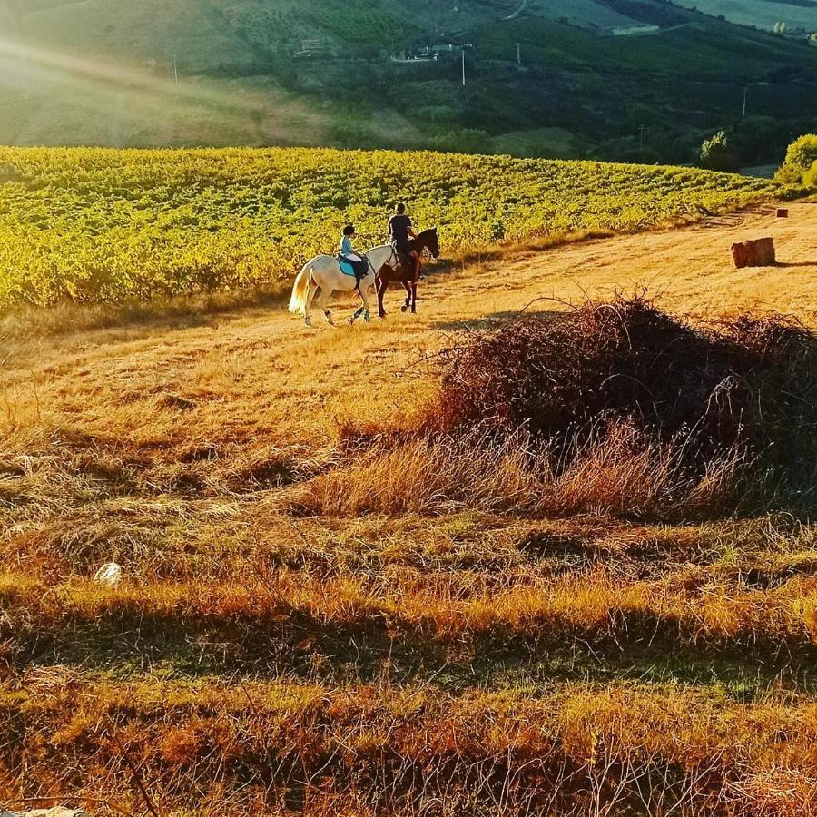 Casinha De Ferias No Campo - Quintinha Dos Cavalos - Arruda Dos Vinhos Sabugos Exterior photo