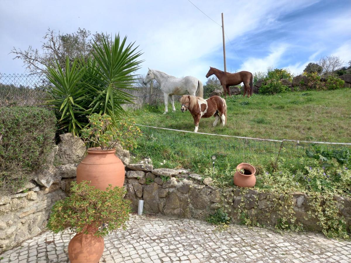 Casinha De Ferias No Campo - Quintinha Dos Cavalos - Arruda Dos Vinhos Sabugos Exterior photo