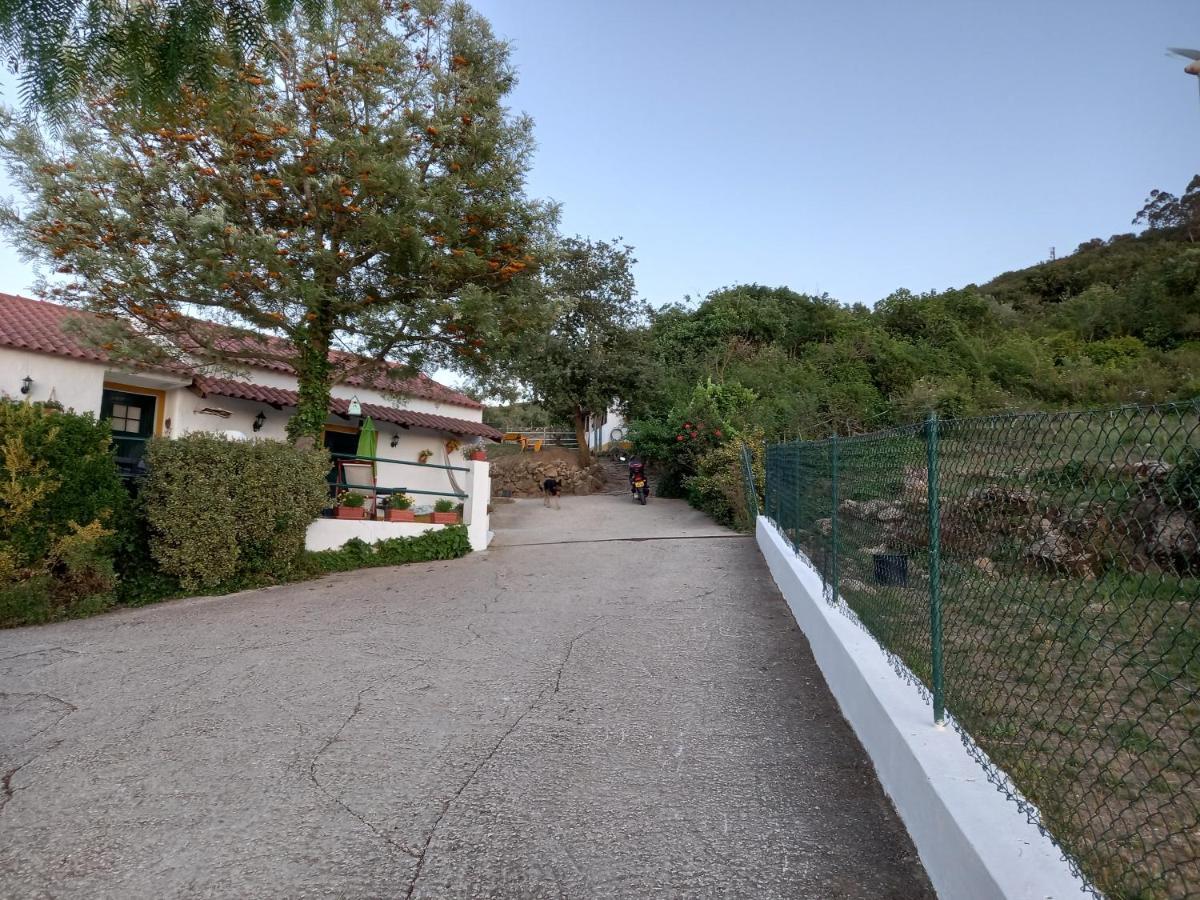 Casinha De Ferias No Campo - Quintinha Dos Cavalos - Arruda Dos Vinhos Sabugos Exterior photo